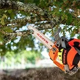 Die besten Werkzeuge für den Baumschnitt und ihre Verwendung - Intermaquinas