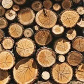 Holzbearbeitung und Zuschnitt