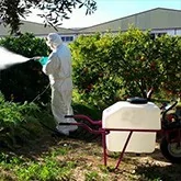 Begasung, Pestizide und Herbizide