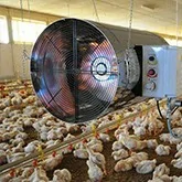 Ventilators for farms