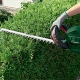 Hedge trimmers