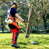 Decespugliatori economici