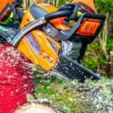 ▷ Cheap chainsaws on sale! Intermaquinas