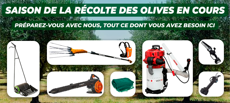 Saison de l’olive Outils pour la récolte des olives