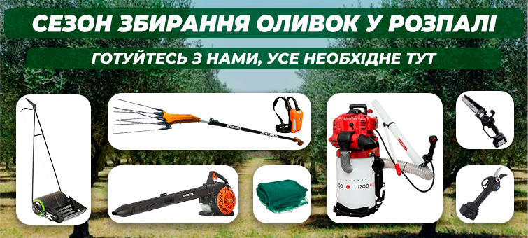 Сезон оливок