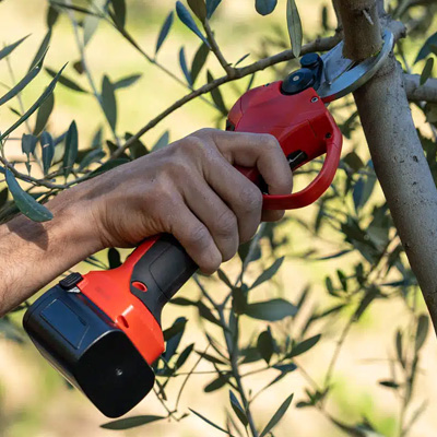 cheap pruning shears electric pruning shears