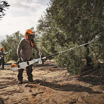 Olive harvesters Olive harvesters at the best price