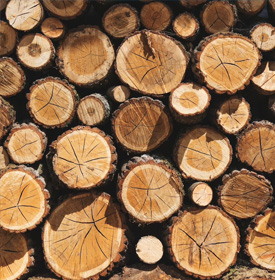 Coupe et travail du bois
